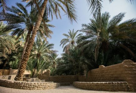 Oasis d'Al Aïn