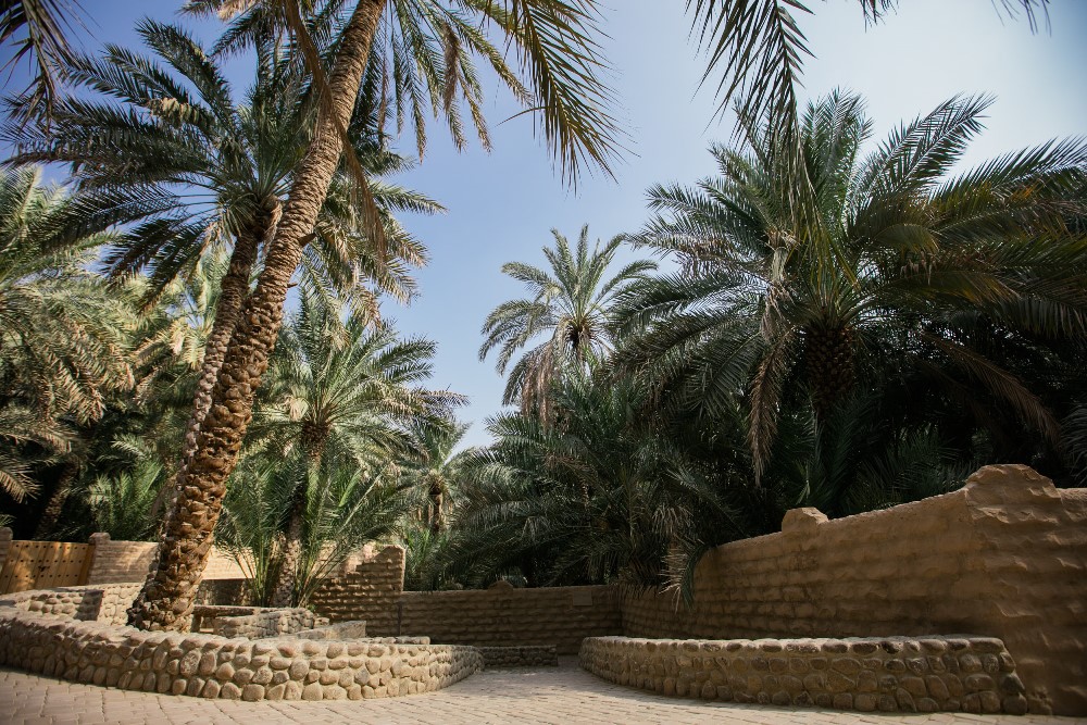 Oasis d'Al Aïn