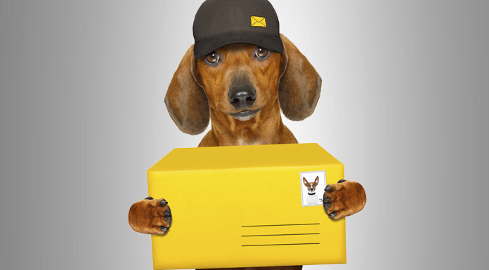 Hund Postbote