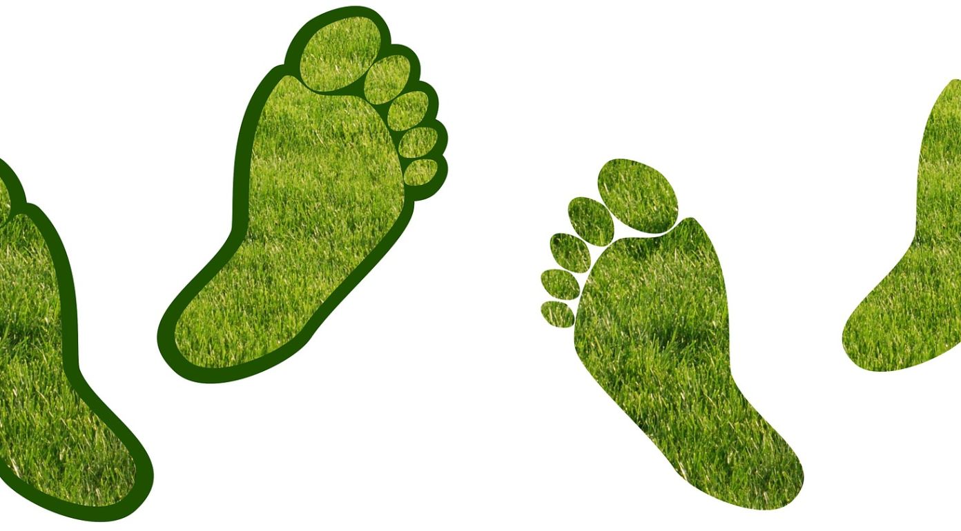 Carbon footprint, CO2-Fussabdruck, Nachhaltigkeit